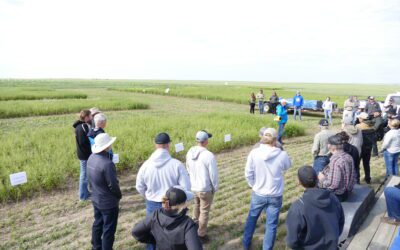 CANCELLED! Wheatland Conservation Area Annual Field Day 2026